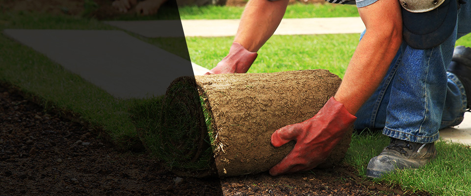 Columbia Landscapers